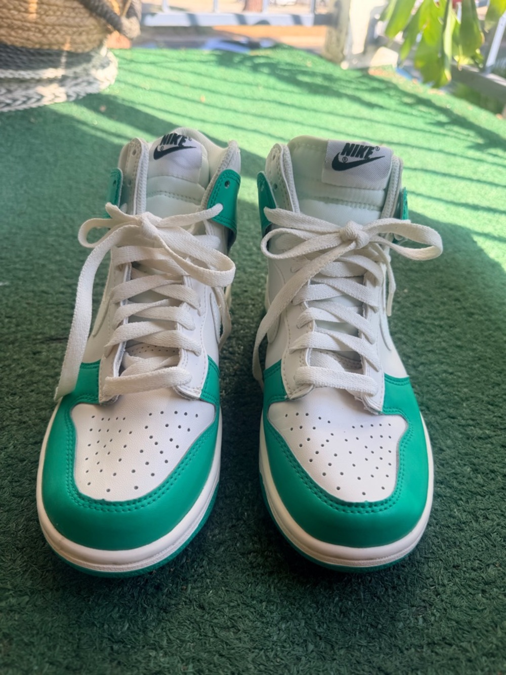 Nike Dunk High